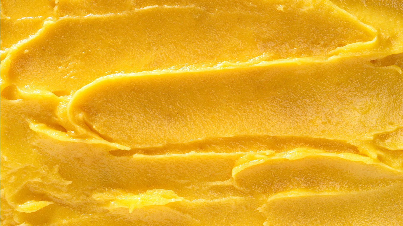 Mango Sorbet Mango Sorbet