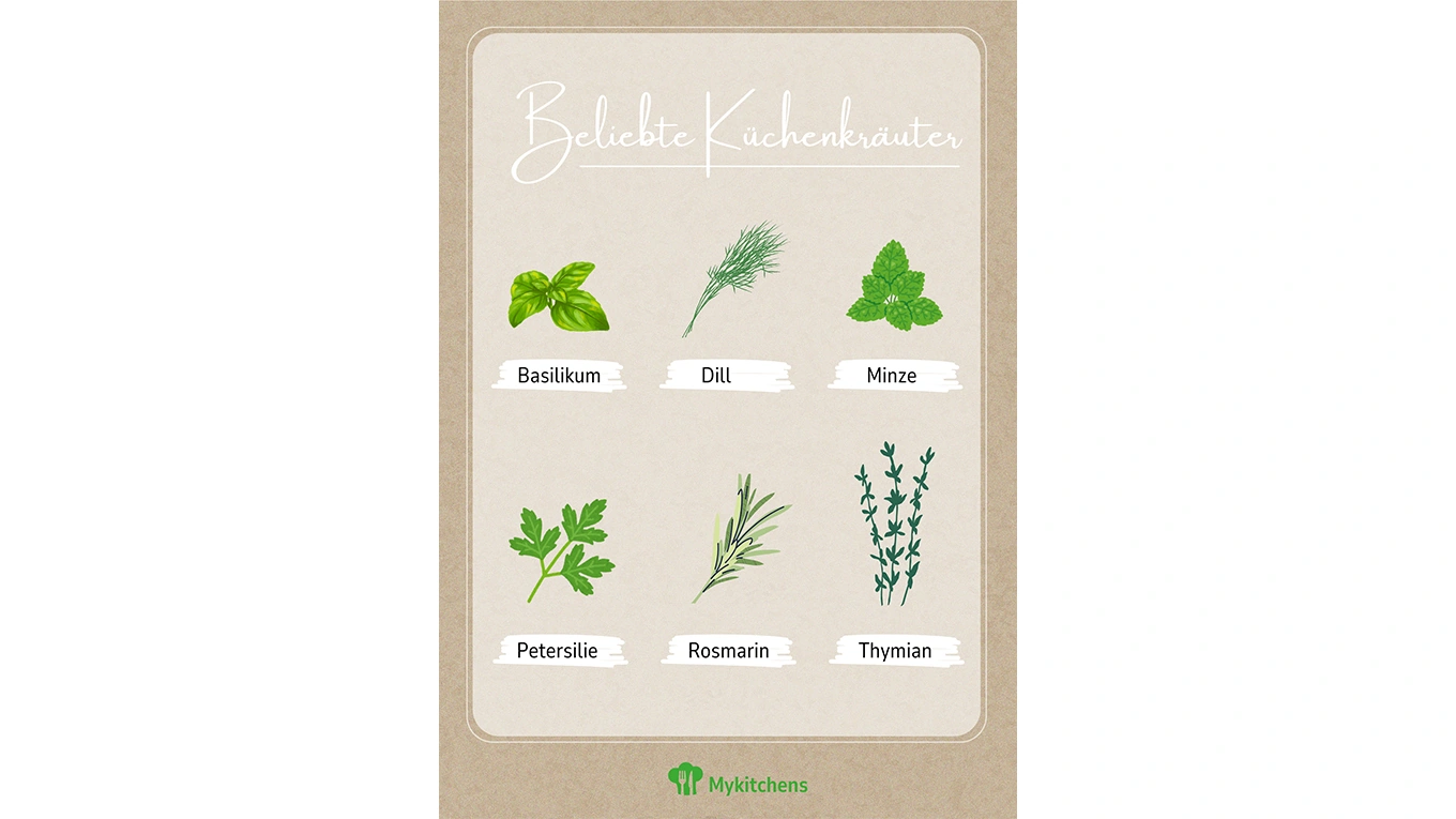 Beliebte Küchenkräuter Infografik beliebte Küchenkräuter mit Bild und Text