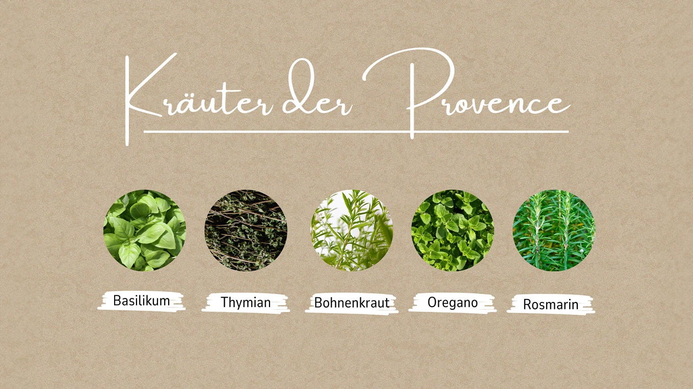 Kräuter der Provence Grafik Kräuter der Provence mit Bild und Text