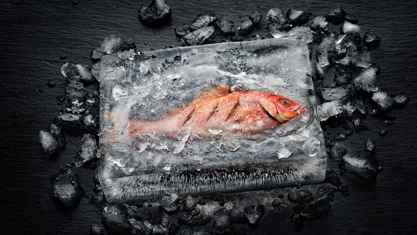 miele dialoggarer kochen und garen im volumen ein fisch im eisblock